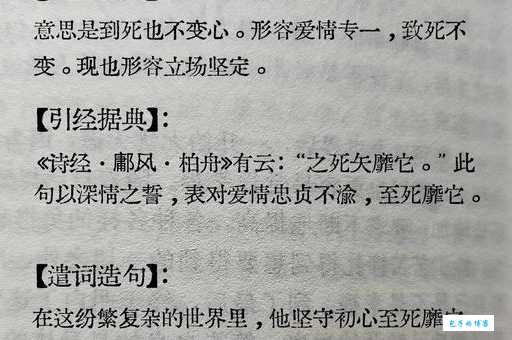 风靡的意思解析为什么它能成为热门词汇