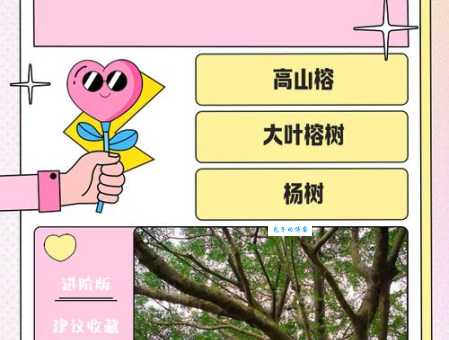 茂盛的意思和近义词 如何形容植物长势好