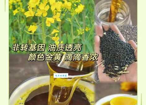 榨油的意思