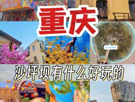 坪坝是什么意思简单解释一下这个词汇