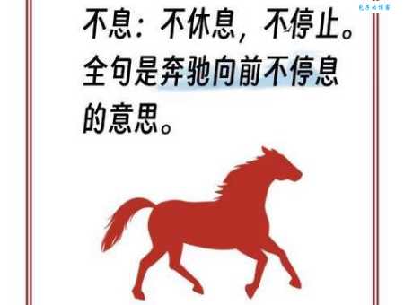 坪坝是什么意思简单解释一下这个词汇