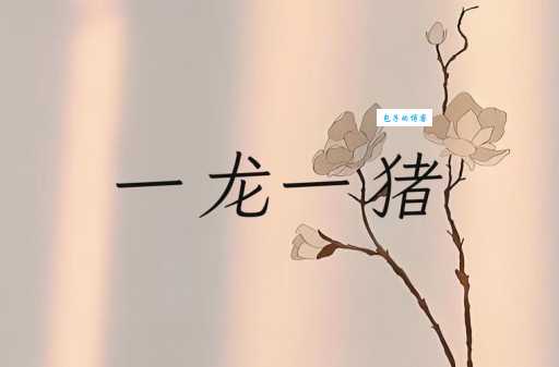 一龙一猪的意思是什么成语解析让你秒懂