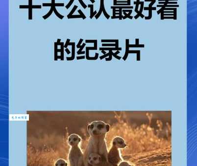 呼吁的意思通俗解释 呼吁在社会中的作用是什么