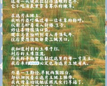 故地的意思与情感 探寻记忆中的那片土地