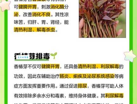 嫩芽是什么意思 嫩芽在园艺中的重要作用