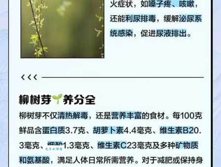 嫩芽是什么意思 嫩芽在园艺中的重要作用