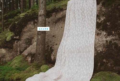 fabric是什么意思 快速了解fabric的定义和例句