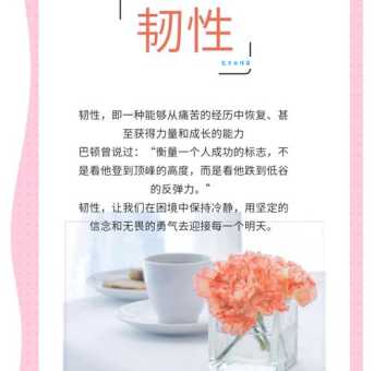 韧性的意思解析 为什么它对成功至关重要