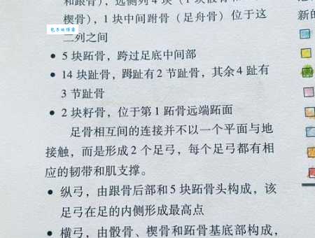 落脚的意思详解 从字面到实际用法全解析