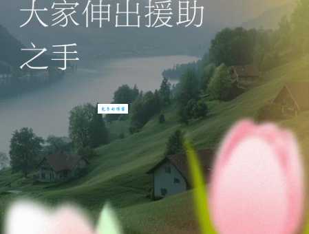 援助的意思和用法看完这篇就懂了