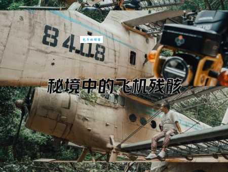 残骸是什么意思 简单解释残骸的定义和常见例子