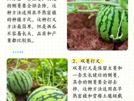 瓜分的意思和常见例子一次说清楚