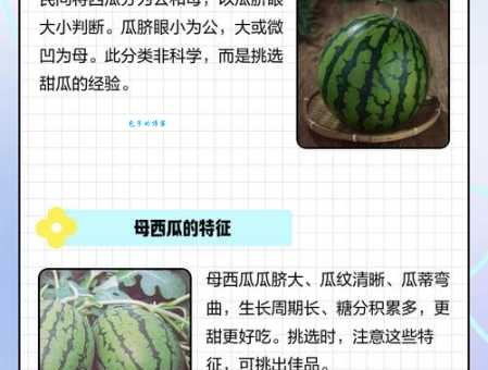 瓜分的意思和常见例子一次说清楚