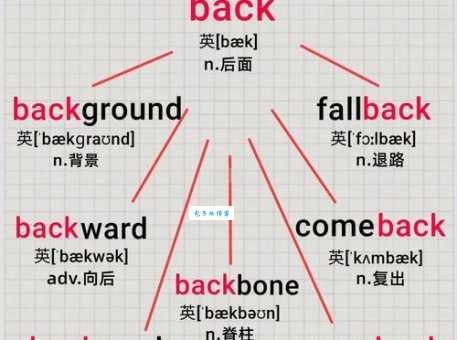 back什么意思英语单词back的详细解释
