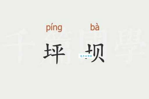 坪坝是什么意思解释一下 坪坝的定义和实际应用场景