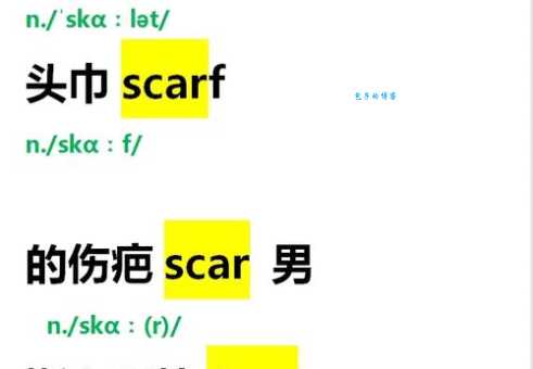 scarf什么意思 这个英文单词原来这么简单
