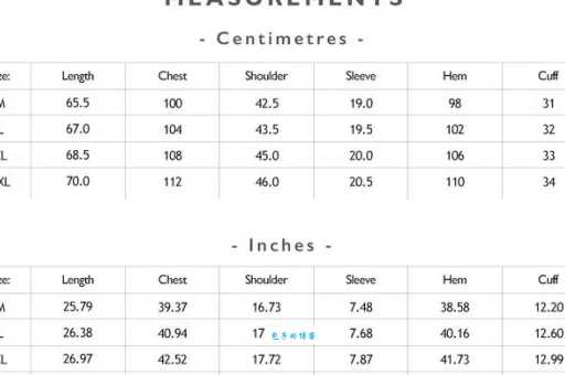 shirt是什么意思 简单易懂的shirt词汇详解