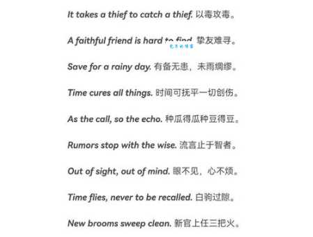 lady是什么意思 从词源到现代用法的全面解释