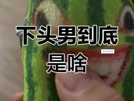下头是什么意思 年轻人常说的梗原来这样理解