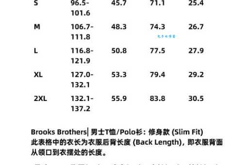 shirt是什么意思中文翻译 衬衫英文单词详解