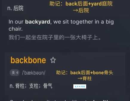 back是什么意思 英语单词back的详细解释