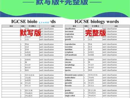 ig什么意思社交平台常见术语详解