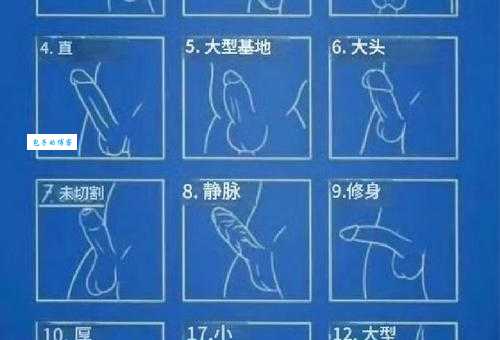 male是什么意思 男生和male有什么区别