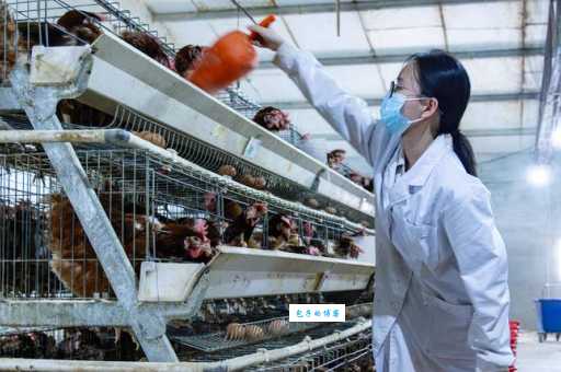 采风是什么意思 采风在不同领域的具体表现