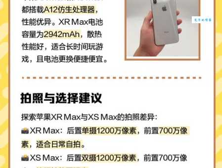 max是什么意思 简单解释max的含义和用法