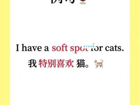 spot是什么意思 生活中哪些场景会用到这个词