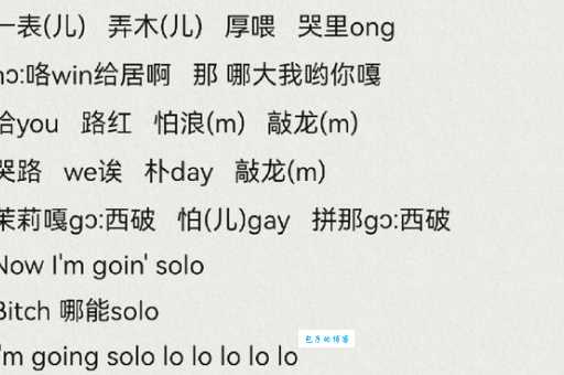 solo什么意思中文翻译 详细解释solo的用法