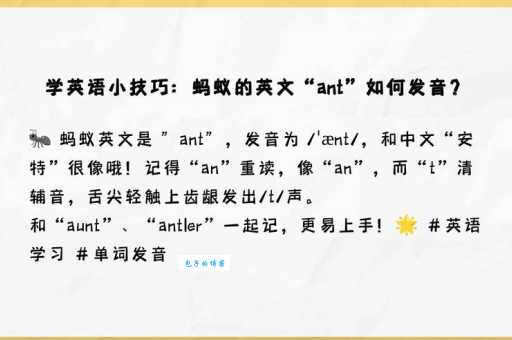 ant是什么意思 蚂蚁的英文怎么说你知道吗