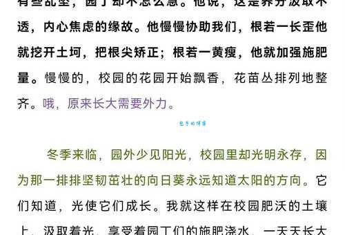 园丁的意思与比喻 如何理解园丁的象征意义