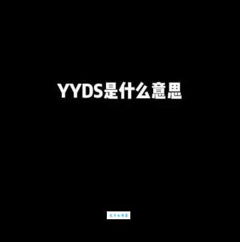 ds是什么意思啊 轻松掌握ds的基本概念和例子