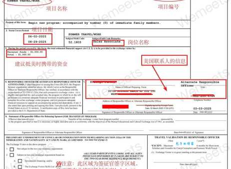 ds是什么意思啊 轻松掌握ds的基本概念和例子