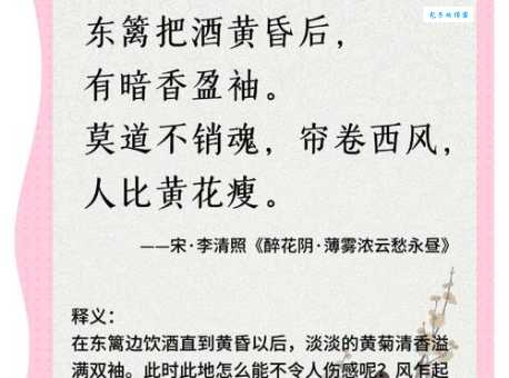 人比黄花瘦什么意思李清照这句诗究竟想表达什么
