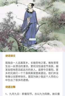 遍插茱萸少一人啥意思 王维的诗句这样解释