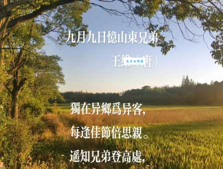 遍插茱萸少一人啥意思 王维的诗句这样解释