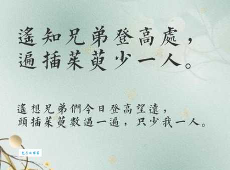 遍插茱萸少一人的遍到底指什么看完就懂