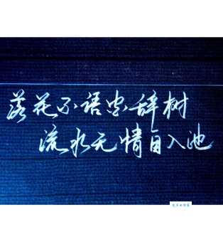 落花有意流水无情的典故和现代用法全解析