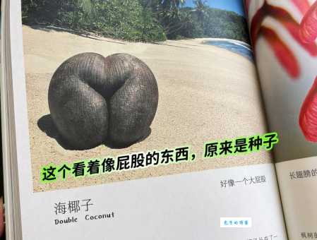 什么是天下奇闻的意思 带你看看世界真奇妙