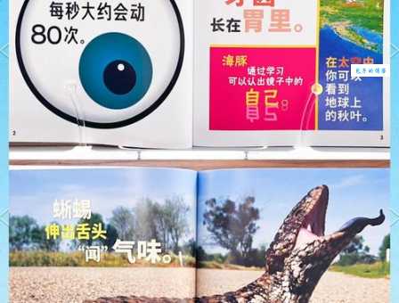 什么是天下奇闻的意思 带你看看世界真奇妙