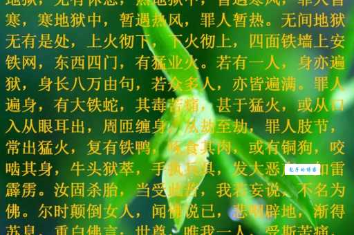 天无宁日的意思解析为什么说日子不安宁