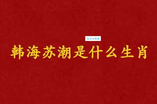 韩海苏潮是什么意思两种不同风格对比