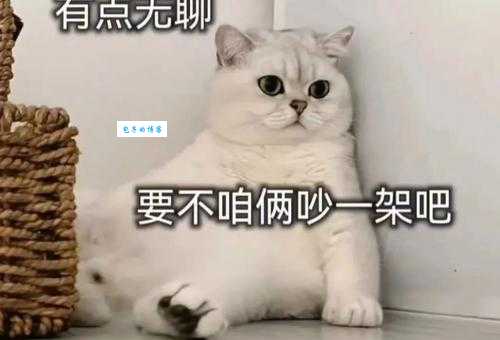 百无聊赖是什么意思