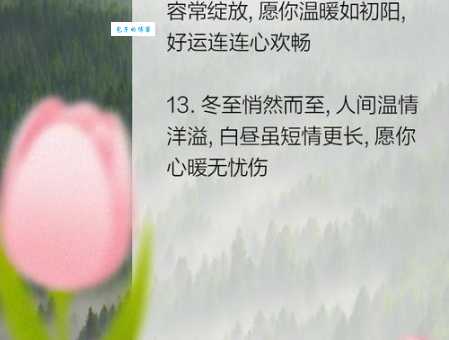 冬至祝福语4个字暖心短句送给亲朋好友