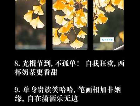 双十一光棍节幽默短句精选 看完这些不再孤单