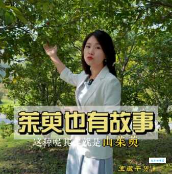 遍插茱萸少一人：遍是什么意思？详解诗句含义