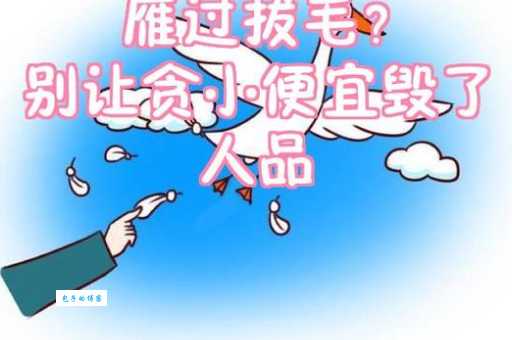 雁过拔毛的意思是什么 成语解析与例句分享