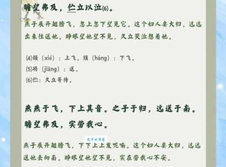 雁过拔毛的意思是什么 成语解析与例句分享